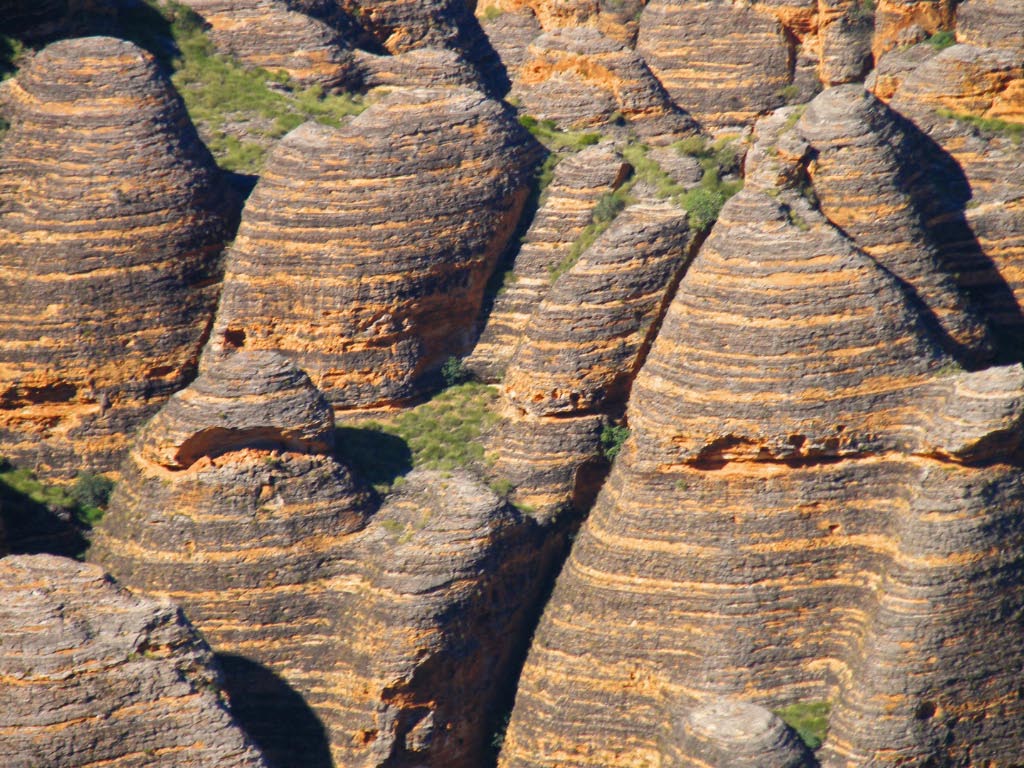 Bungle Bungle Bungle Bungle